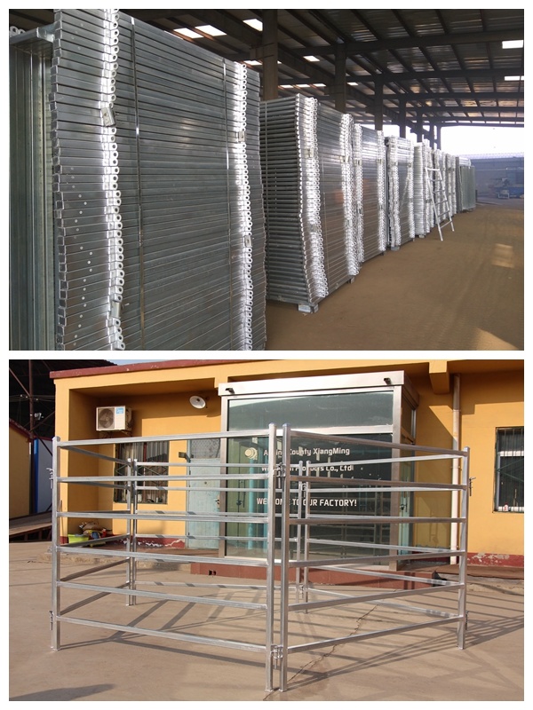 China Hot Sale Cheap Cattle Panels Used Horse Fence Panels Galvanized Corral Panels (XMS28)