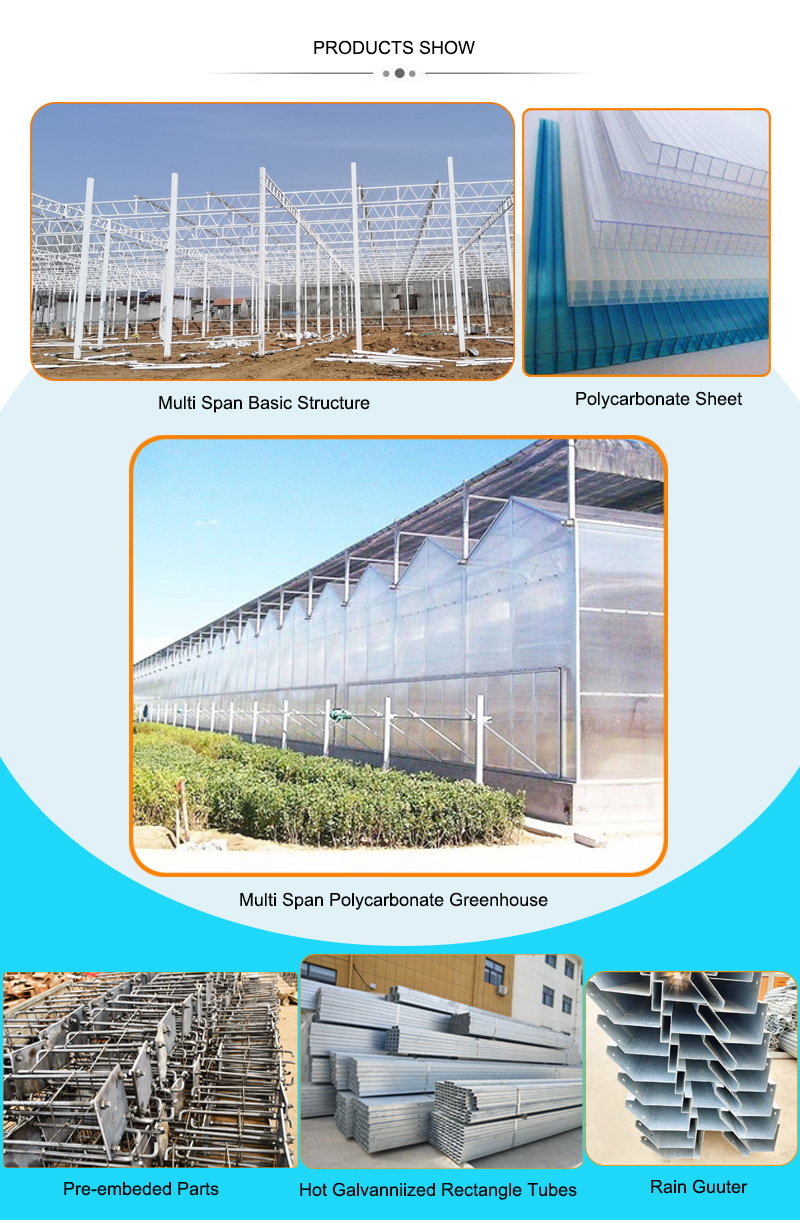 PC Sheet Polycarbonate Green House for Vegetable Tomato