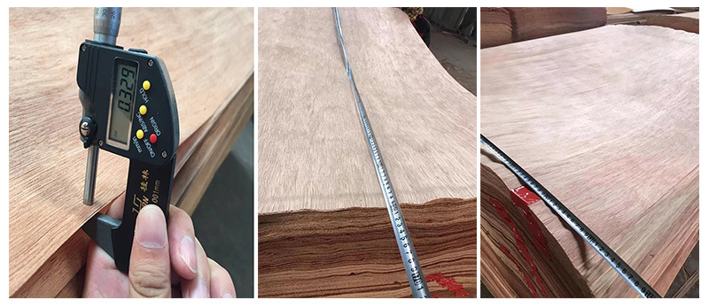 Low Price Factory-Natural Veneer Plb Veneer in 0.55mm