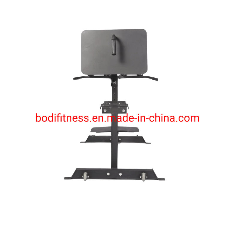 Gym Equipment GHD Roman Chair Glute Harm Raise