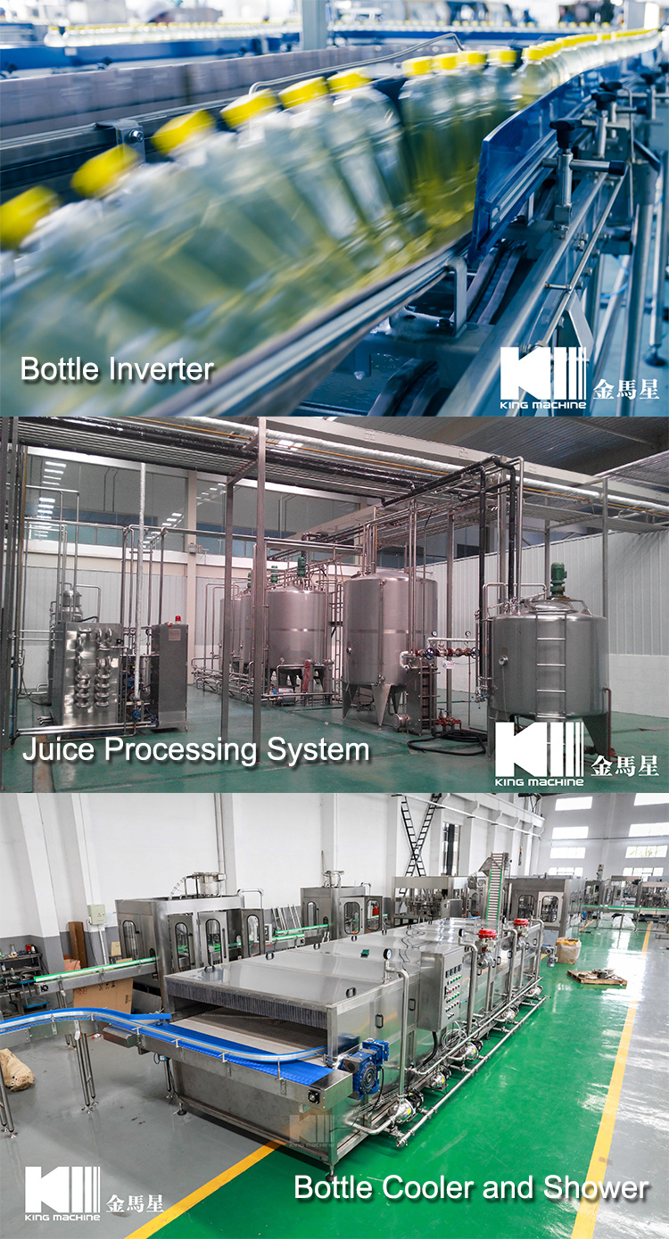 Juice Bottling/Juice Bottling Equipment/Juice Equipment/Juice Factory Equipment