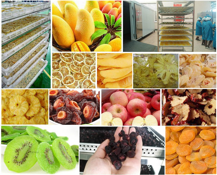Multifunction Fruit Drying Machine /Red Dates Dryer/ Dried Mango Equipment