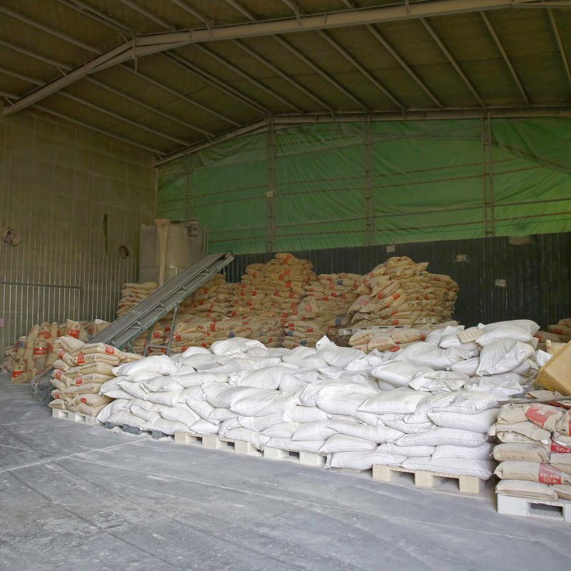 Wholesale 195mm Formaldehyde-Freer Ecological Integrated WPC Wall Panel