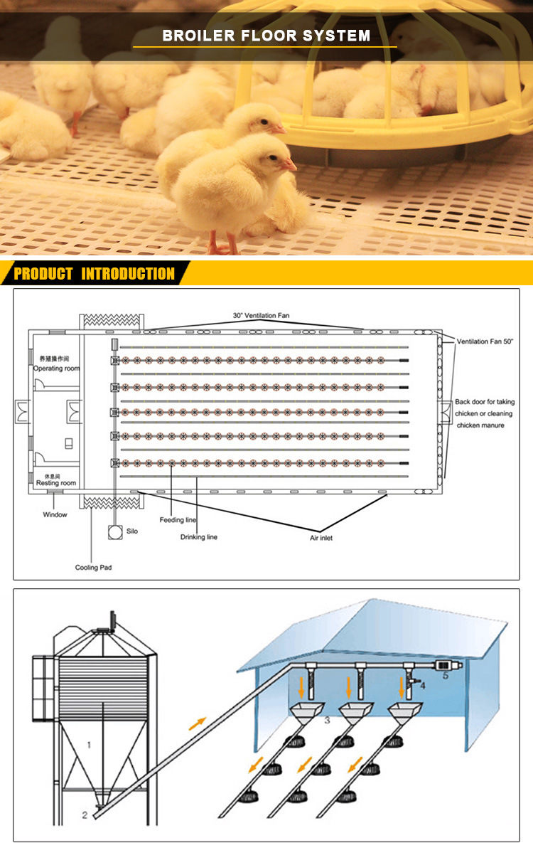 Full Set Automatic Poultry Equipment for Chicken Rearing