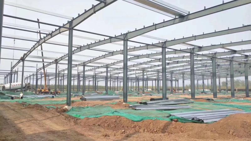 Customized Design Metal Steel Structural Frame Warehouse Building with Roof Cladding