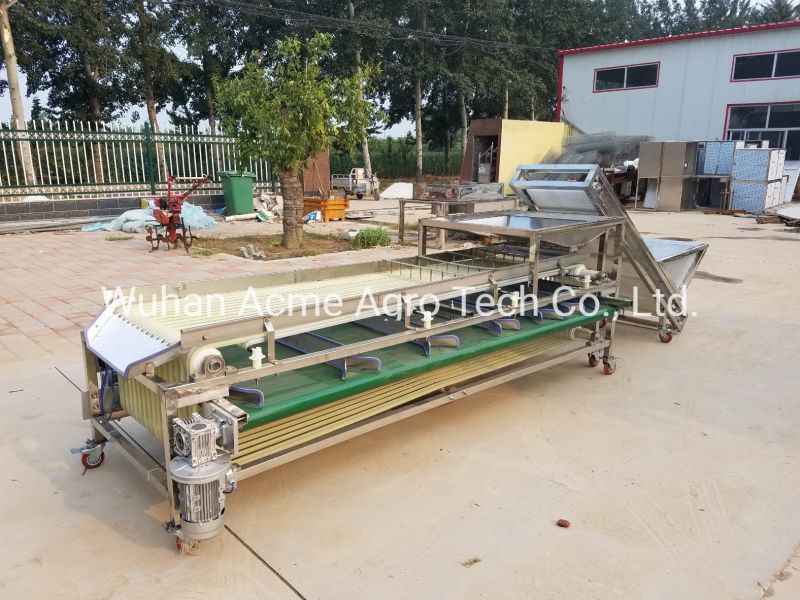 Nut Size Sorting Machine Walnut Size Grader Walnut Size Sorter