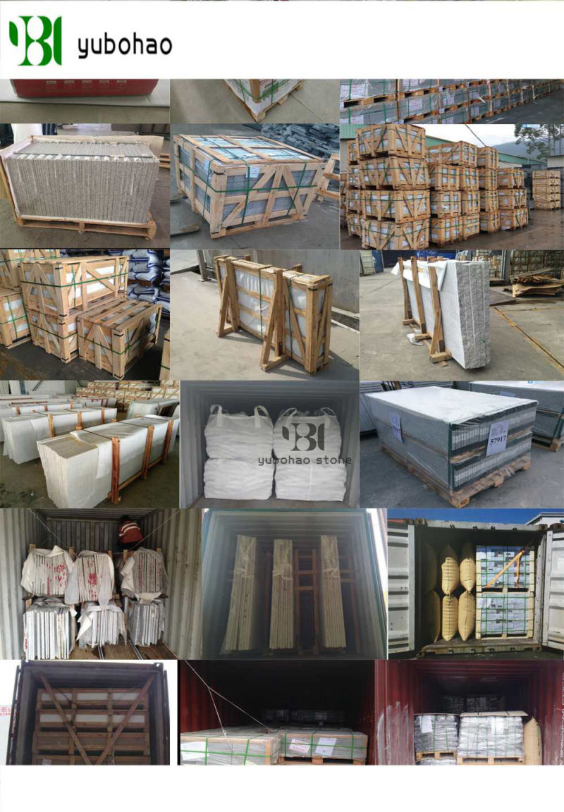 Chinese White Jade/White Marble for Wall Tiles/Wall Cladding/Wall Covering