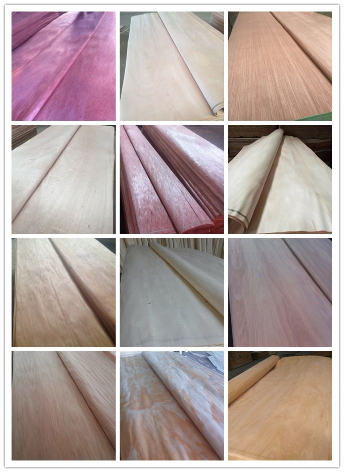 Factory Produce Natural Face Veneer Size 1220X1830X0.25mm