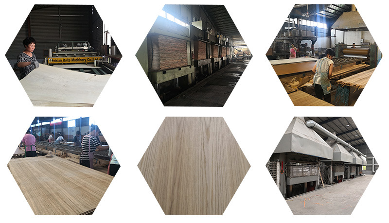 Low Price Factory-Natural Veneer Plb Veneer in 0.55mm