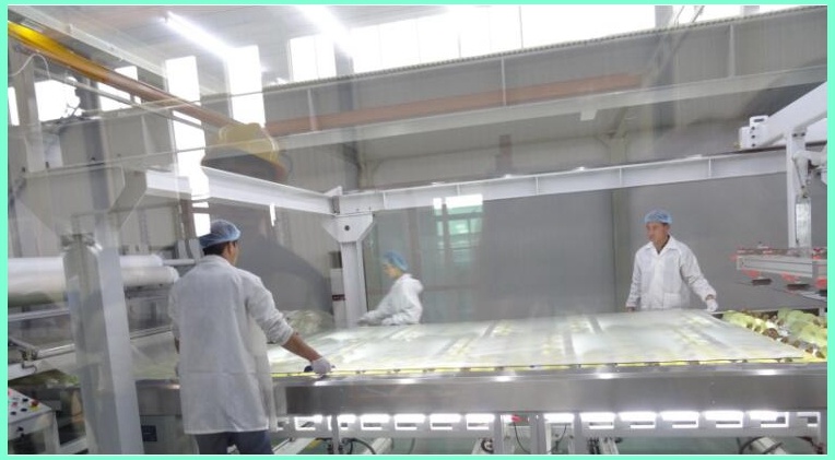 Big Size Panel Building Floor Anti-Slipping Laminated Glass