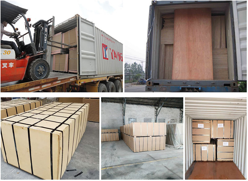 18mm Panel Plywood Melamine Paper Faced Ecological Plywood