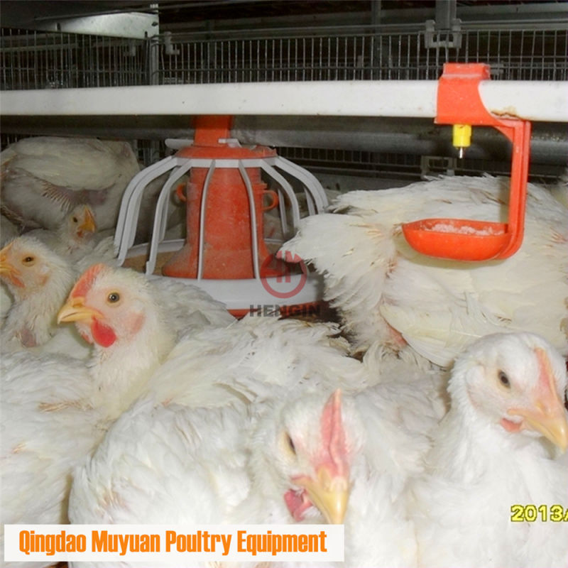 Automatic Chicken Breeding Broiler Poultry Equipment Fro Chicken Rearing