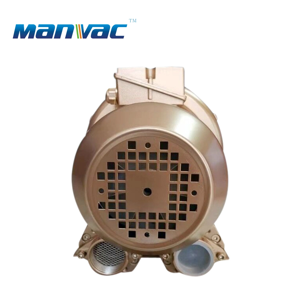 Excellent Energy Efficiency Golden Color Industrial Air Blower Motor