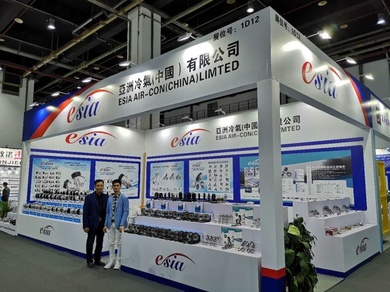 Auto Parts AC Compressor Clutch for 508 10pk 12V 123mm 40X62X24