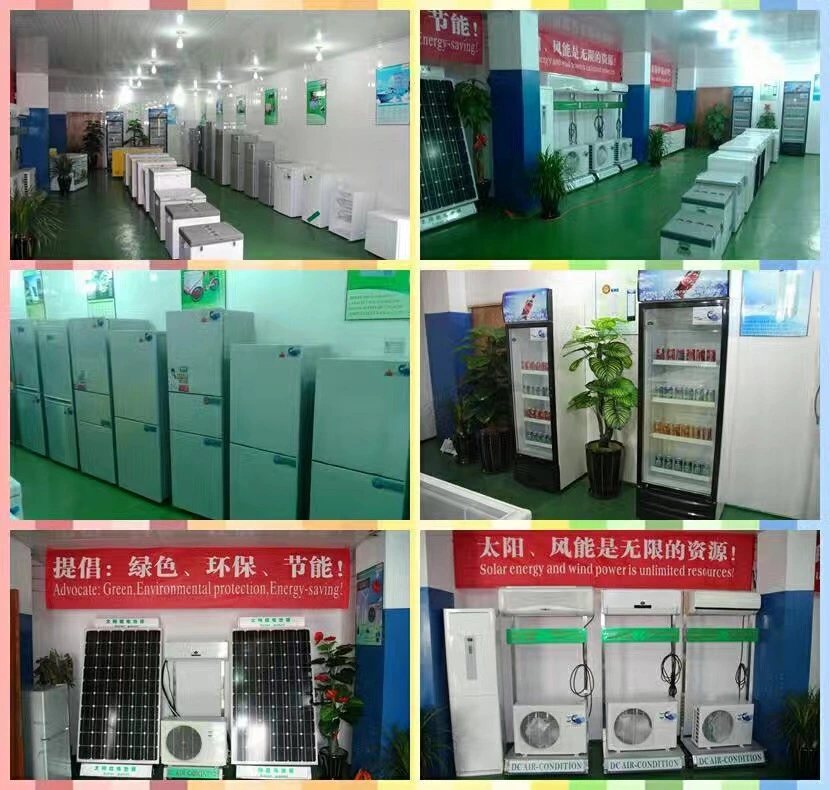 Factory Direct Price 12V DC Compressor Home Solar Refrigerator