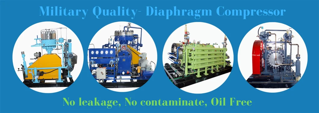 OEM Factory Customize Service for Hydrogen Gas Diaphragm Compressor Ammonia Compressor