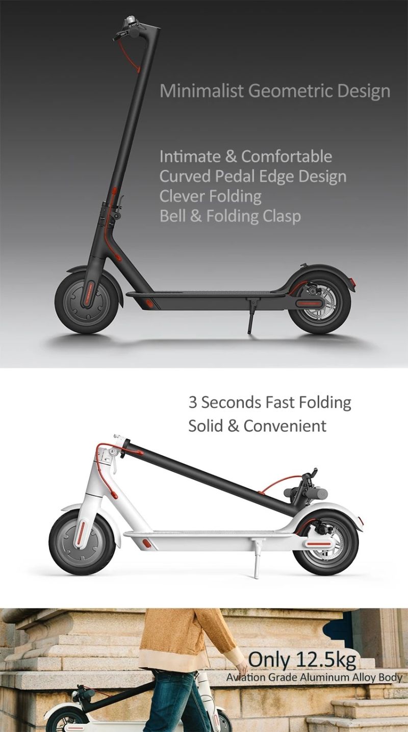 Manufacturer Cheap Electric Folding Scooter Electric Scooter Max Load 150kg 10ah Electric Scooter