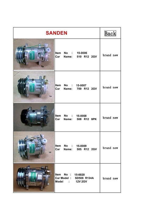 TM Series Sanden Auto AC Compressor