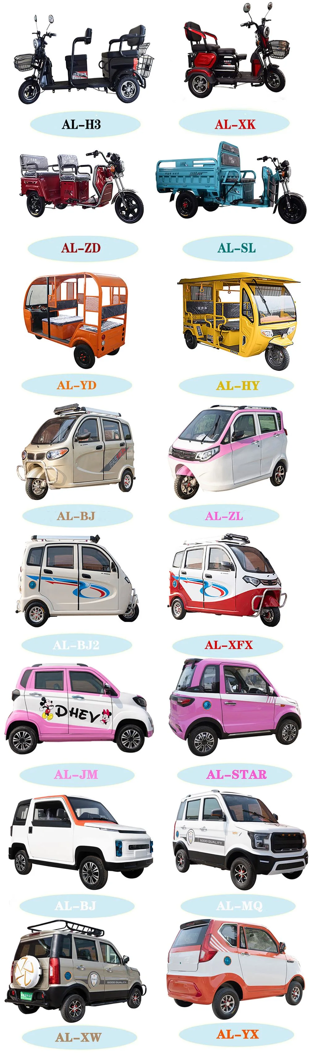 China Al-Yx Electric Car with 2 Doors 4 Seats E Car with Air Conditioner 