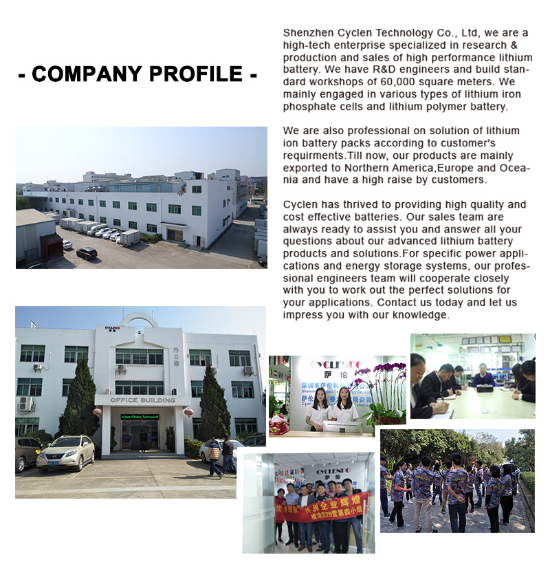 High quality Cranking 12V 20ah Battery LiFePO4 for Automobile Car