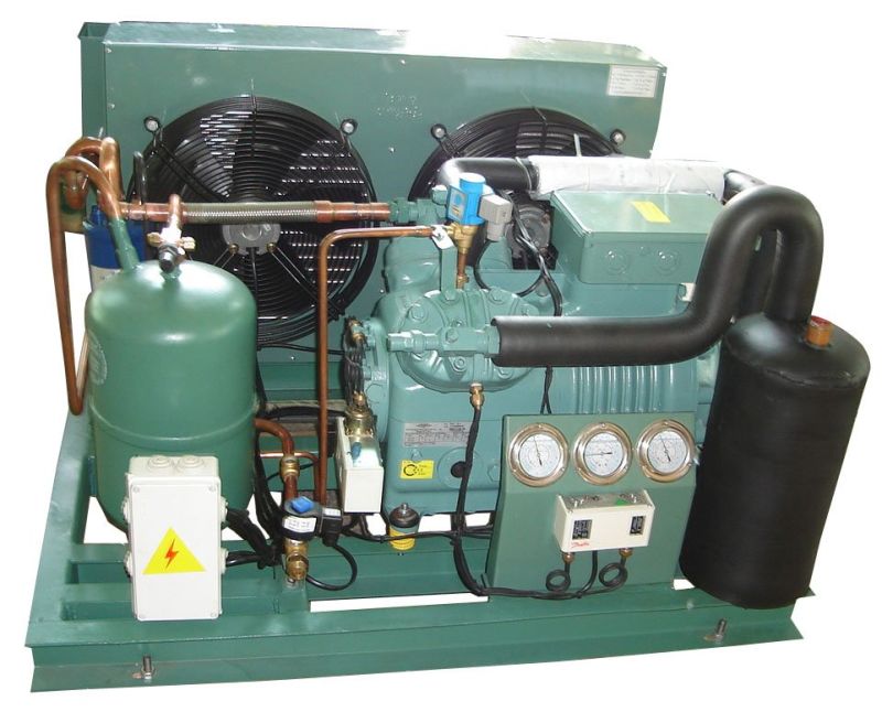 High Quality Air Cooled Bitzer Compressor Refrigeration Compressor Unit