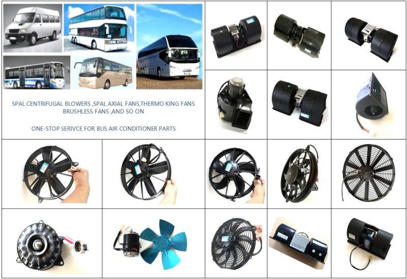 Auto Air Conditioner Compressor Electromagnetic Clutch South American Market