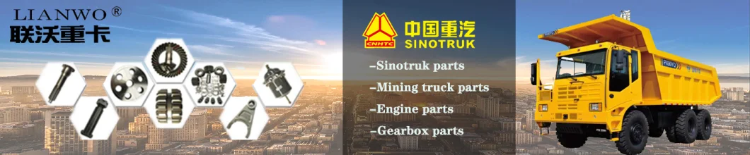 Air Conditioning Compressor Wg1500139006 for Sinotruk HOWO A7 Truck Engine
