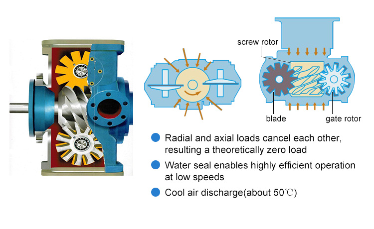 Construction 2019 Hot Sell Electric Driven Oil Free Silent Compressor Water Lubrication Oil Free Single Screw Air Compressor