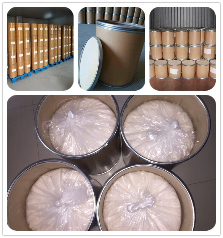 Vitamin B2 Riboflavin CAS 83-88-5 Raw Powder B2 Powder Price