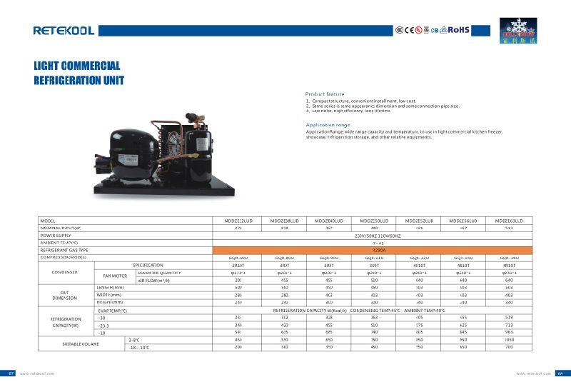 R134A 220V Small Refrigeration Compressor Condenser Unit for Showcase