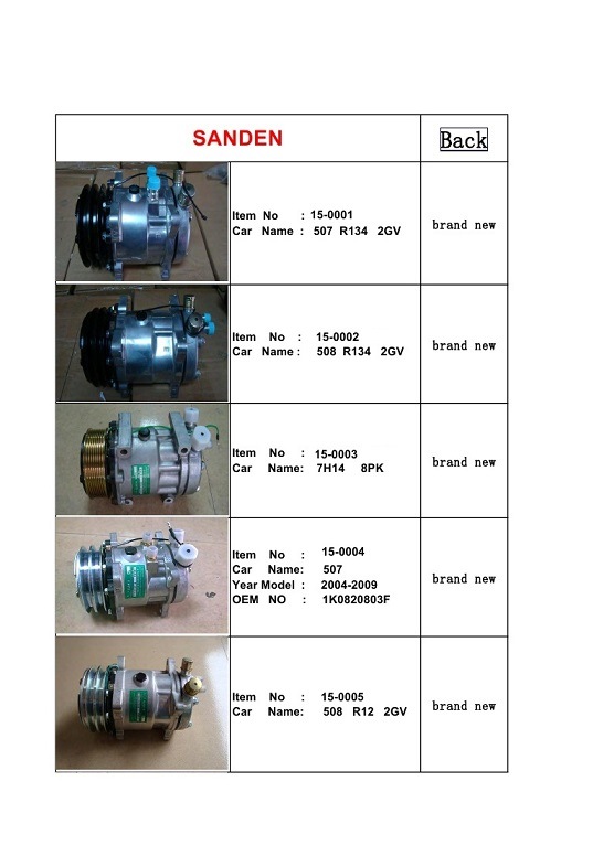 TM Series Sanden Auto AC Compressor