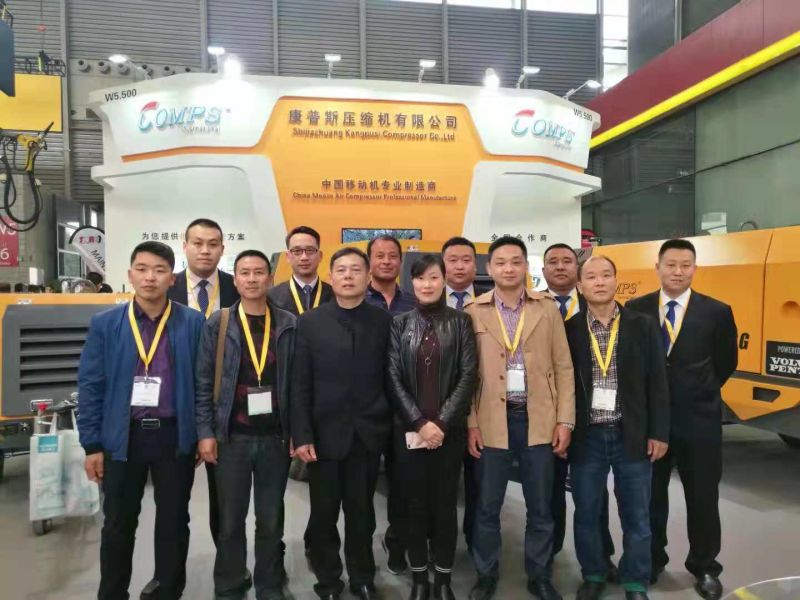 Factory Price  Electric Driven Portable Home CNG Compressor