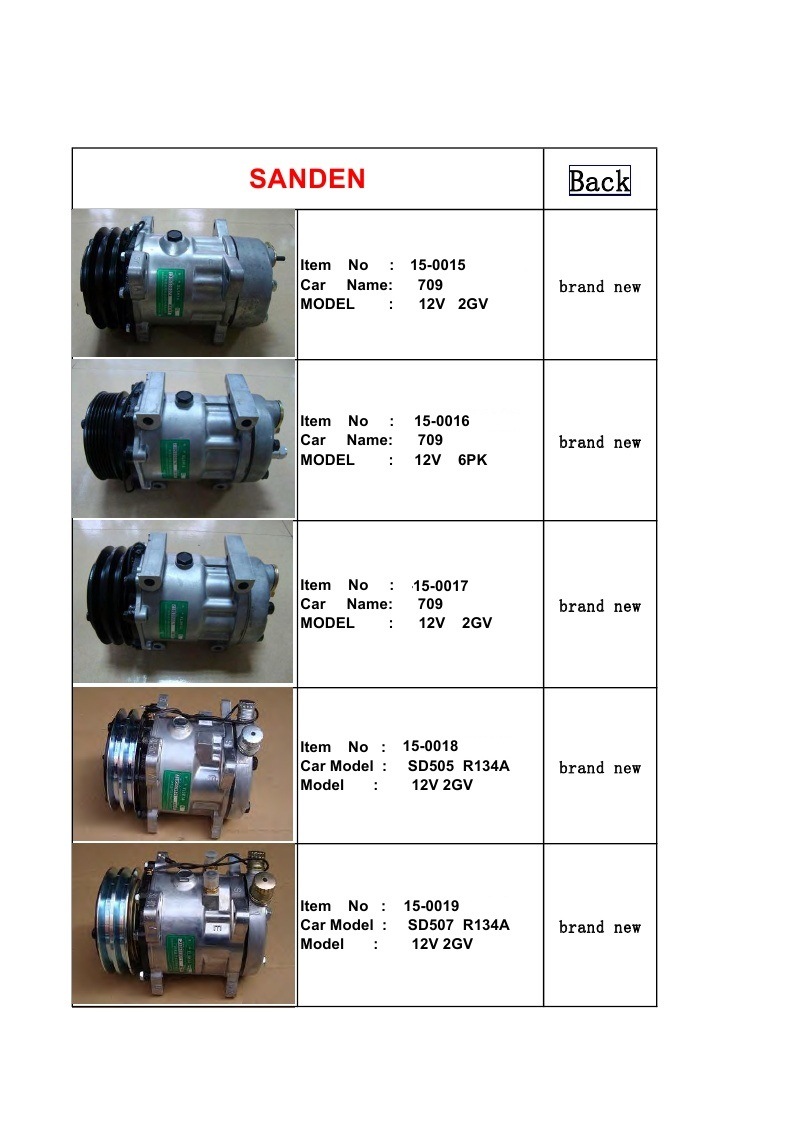 TM Series Sanden Auto AC Compressor