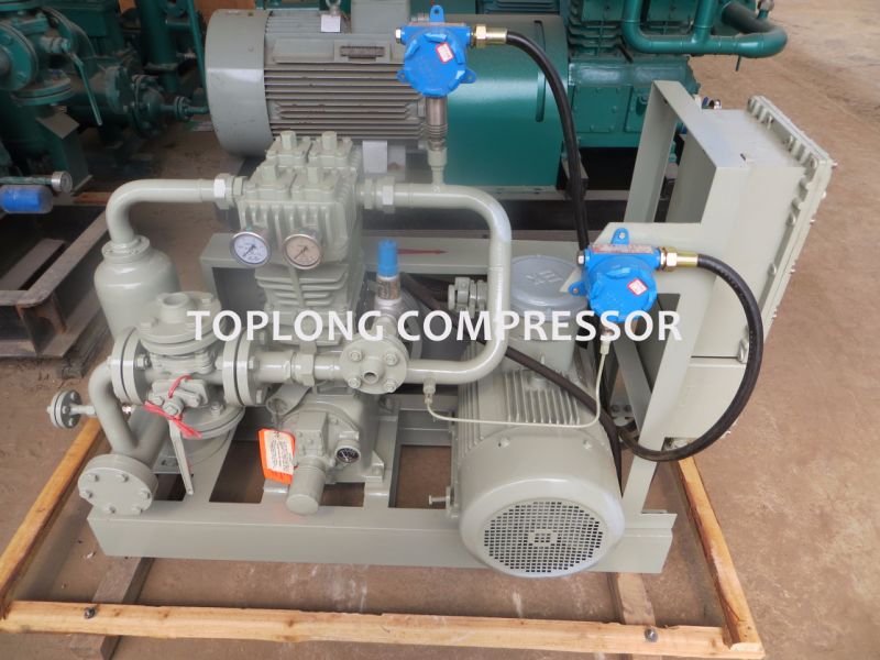 CNG Compressor LPG Compressor LNG Compressor Nitrogen Compressor (Zw-1.1/10-16)