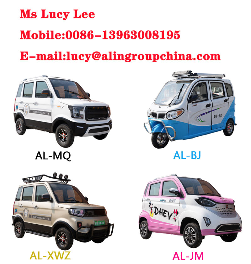 China Mini Electric Car Solar Electric Car Al-Jy