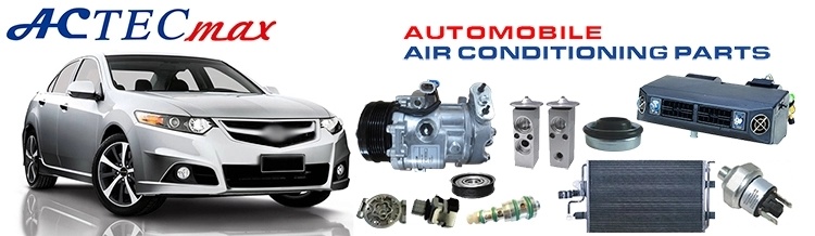 China Supplier Magnetic AC Car Air Conditioner Compressor Clutch 12V