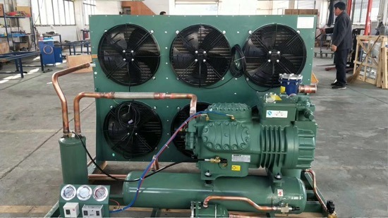 Factory Price OEM/ODM Tecumseh Compressor Condensing Units, R22 R134A R404A