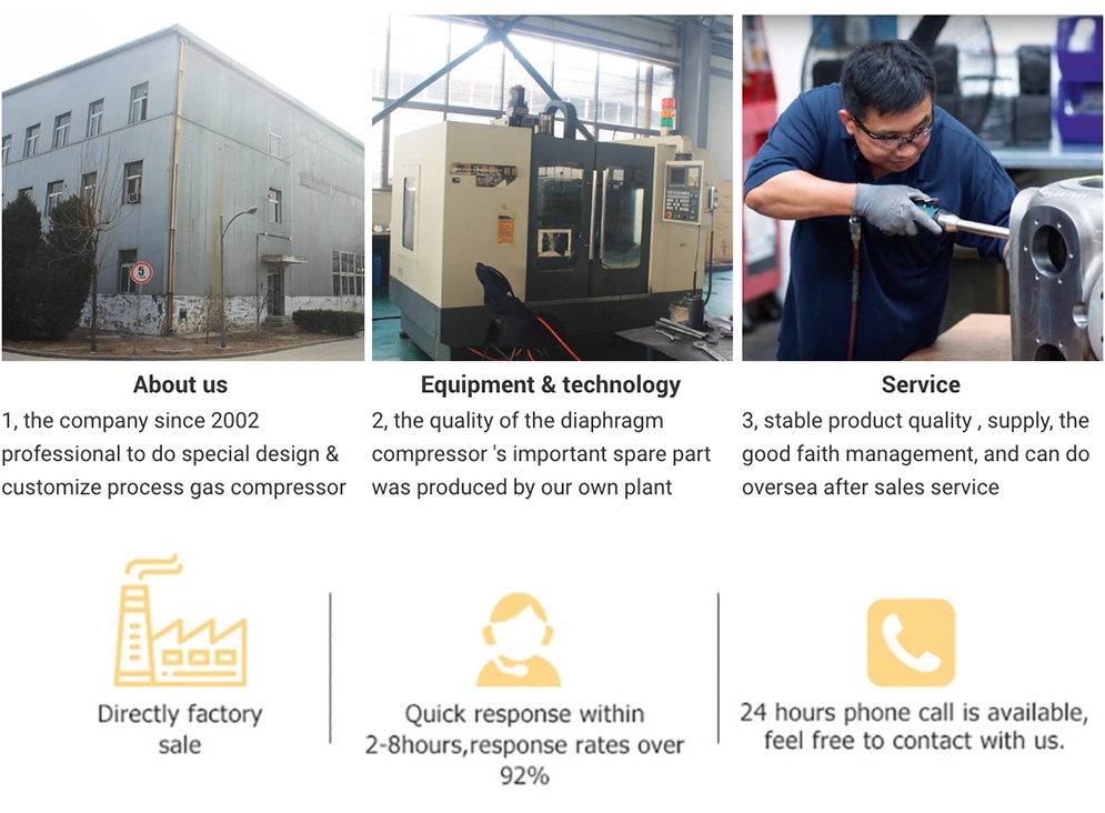 OEM Factory Customize Service for Hydrogen Gas Diaphragm Compressor Ammonia Compressor