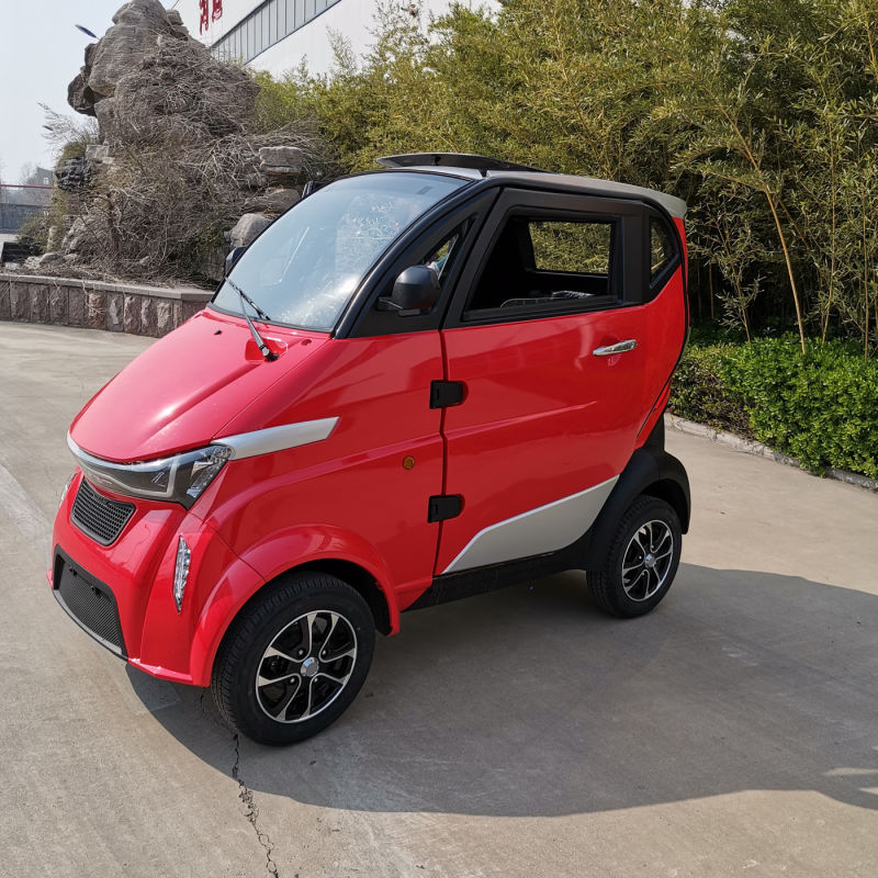 Runhorse 4 Wheels Electric Car with EEC Certificate for Sale