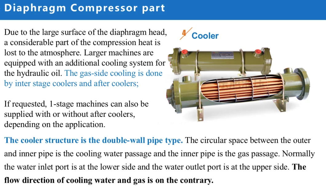 OEM Factory Customize Service for Hydrogen Gas Diaphragm Compressor Ammonia Compressor