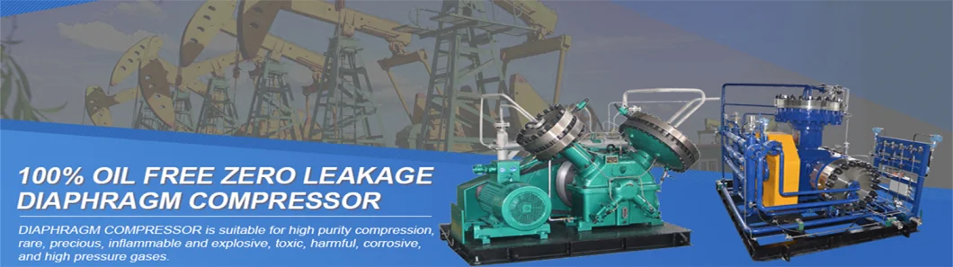 OEM Factory Customize Service for Hydrogen Gas Diaphragm Compressor Ammonia Compressor