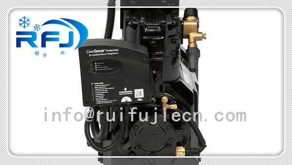 3HP Semi-Hermetic Compressor AC Germany Refrigeration Compressor Dll-30X