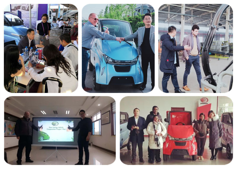 Chinese Electric Mini Motor Car with EEC Coc for Europe