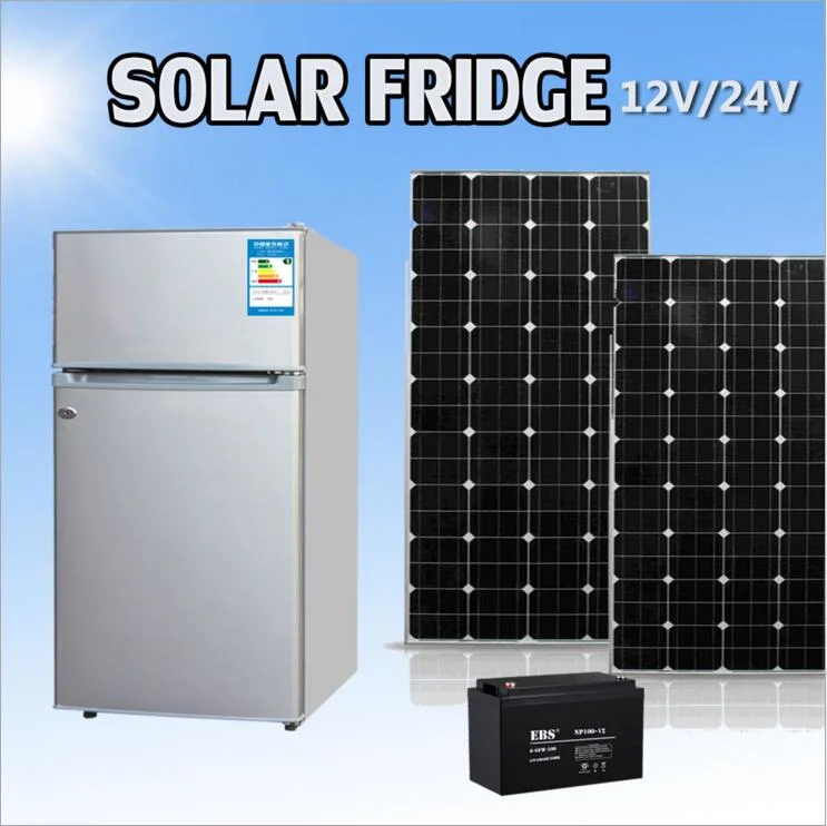 258L Solar Power Energy DC12V/24V Freezer Fridge with Compressor Cooling (H-DF-258Q)