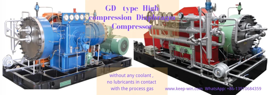 OEM Factory Customize Service for Hydrogen Gas Diaphragm Compressor Ammonia Compressor