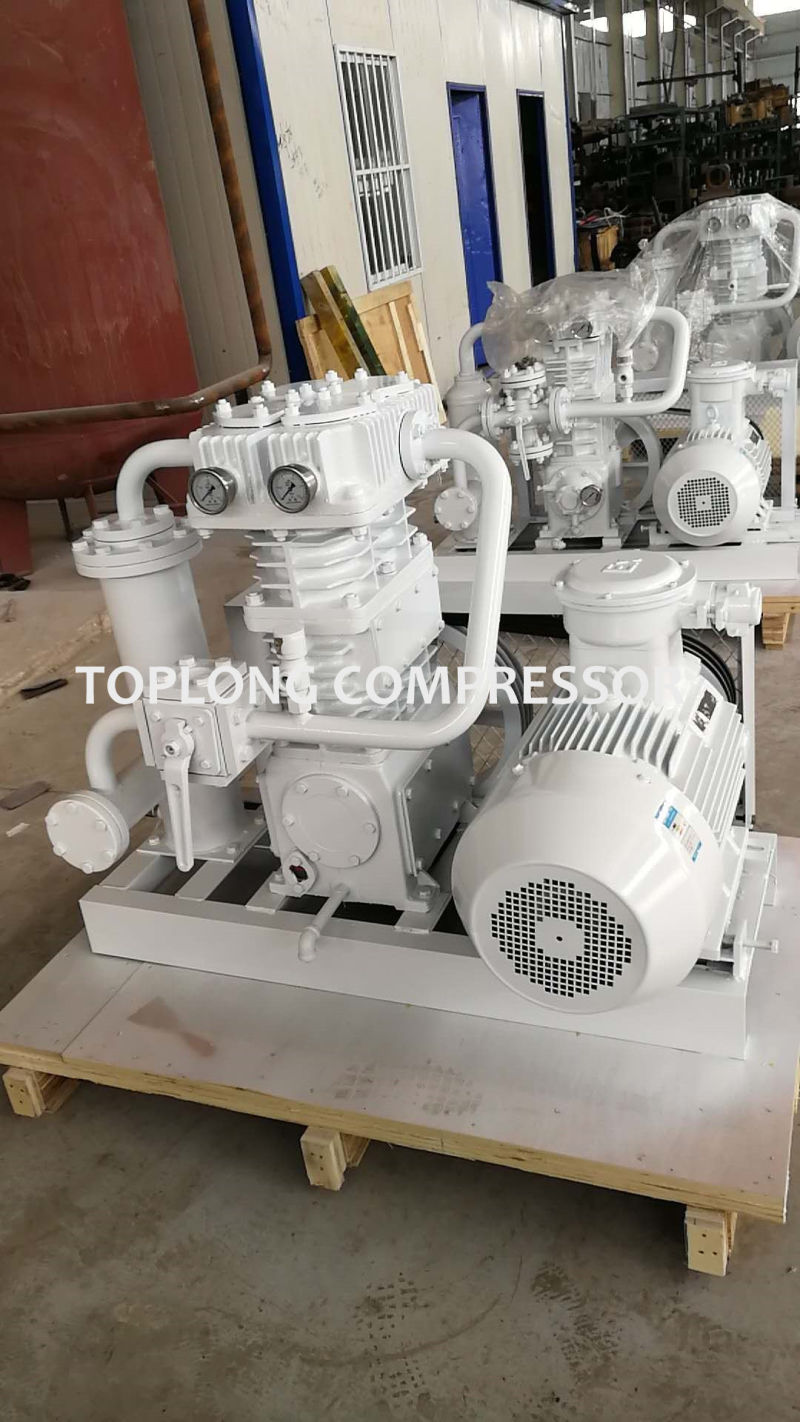 CNG Compressor LPG Compressor LNG Compressor Nitrogen Compressor Booster (Zw-3.0/10-16)