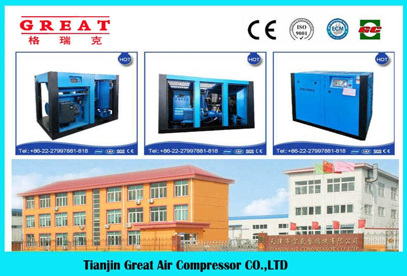 China Factory Pm Motor Variable Speed Screw Air Compressor Used for Automotive Industry