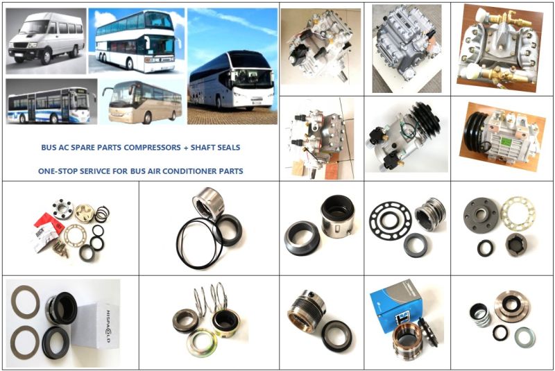 Auto Air Conditioner Compressor Electromagnetic Clutch South American Market