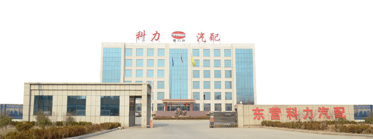 Auto Accessory/Car Parts Pad/Non-Asbestos Brake/Professional Mass Export Customization/ Chery Car Parts