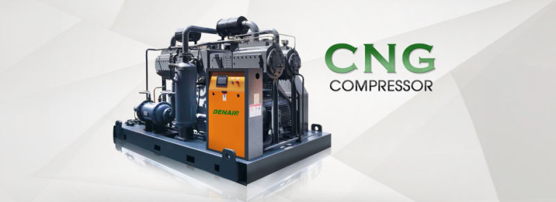 Many Types With Many Functions CNG Piston Air Compressors